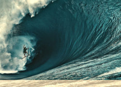 Image billabongxxl12.jpg