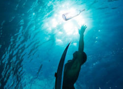 Surf book novel "Trout Rising" is published Image troutrising.jpg