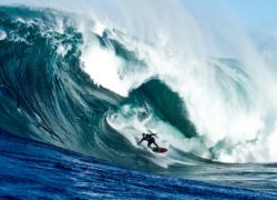 Image rossclarkejones3.jpg