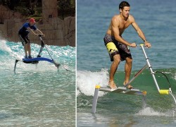 Image flappingwingpropulsion.jpg