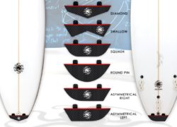 Image shapeshifter.jpg