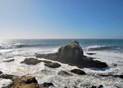 Image puntadelobos2.jpg