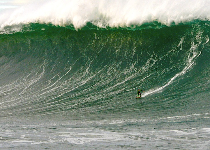 Image gautiergaranx.jpg