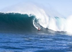 Image shanedorian10.jpg