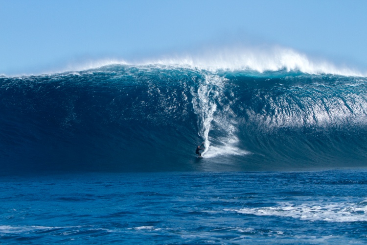 Image jarrydfoster2.jpg