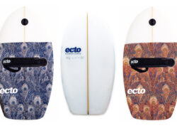 Image ectohandplanes.jpg