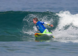 Image markstewart.jpg