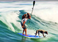 Image chrisdeaboitiz.jpg