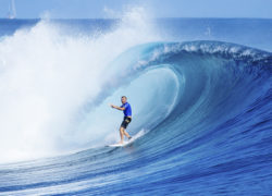 Image tajburrow23.jpg