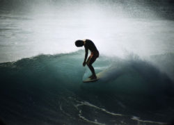 Image midgetfarrelly.jpg