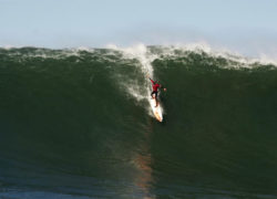 Image jamiemitchell6.jpg