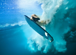 Image duckdivewave.jpg