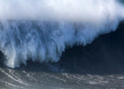 Image andrewcotton6.jpg