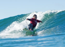 Image daviteixeira2.jpg