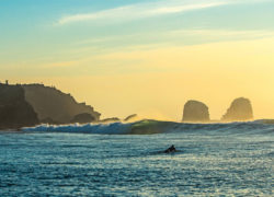 Image wavesavers.jpg