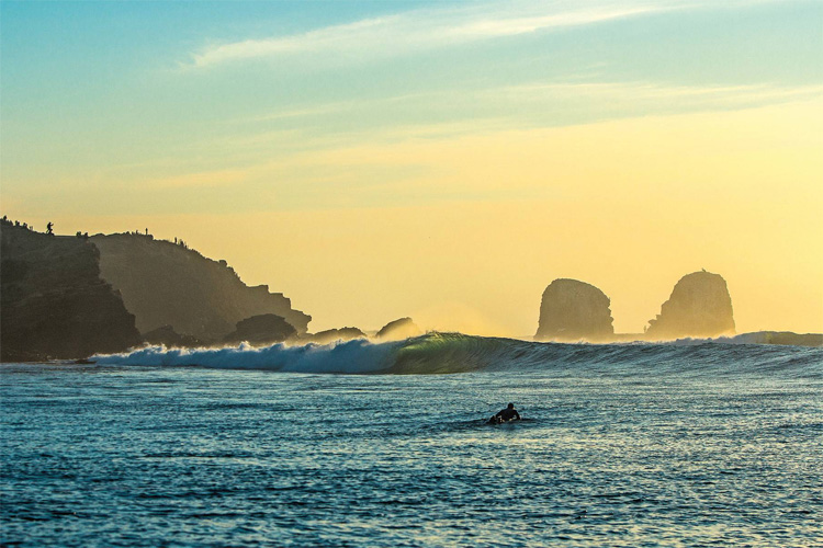 Image wavesavers.jpg