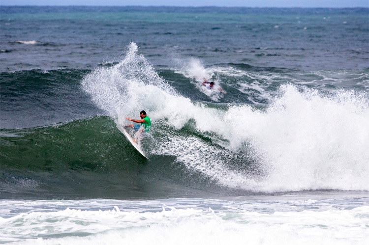 Image joelparkinson36.jpg