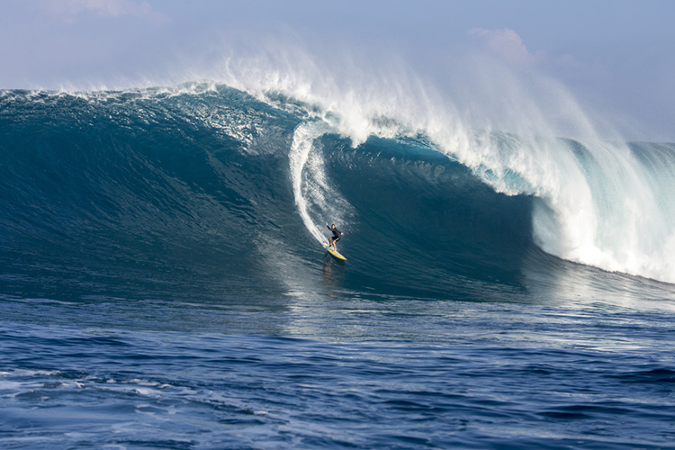 Andrea Moller sets Guinness World Record for the biggest women’s paddle-in wave Image andreamoller3.jpg