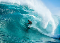 Image connercoffin6.jpg