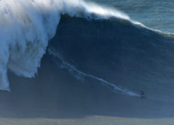 Image justinedupont6.jpg