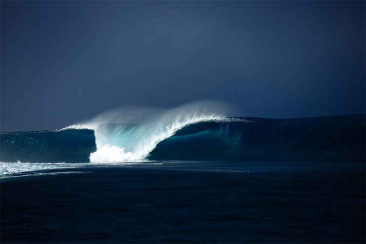 Surf Conference 2025