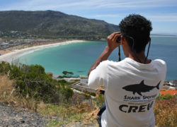 Image shark-spotter.jpg
