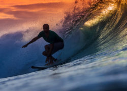 Surfing: a reflection on health and the ideal lifestyle Image surfer-riding-wave.jpg