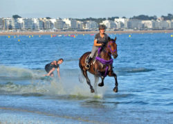 Image horse-surfing.jpg