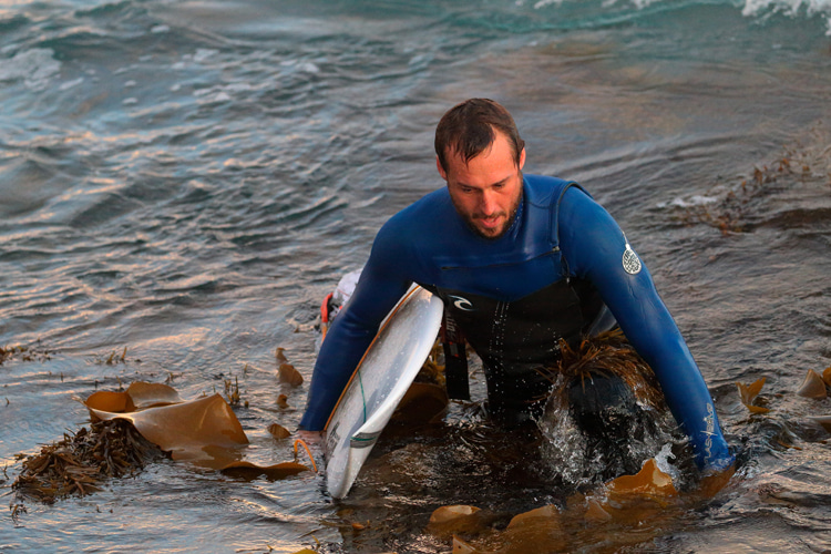 The day I surfed a kelp break Image kelp-surfer.jpg